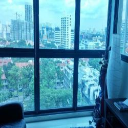 City Square Residences (D8), Condominium #41375472